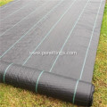 Black Bround Cover Fabric with 30cm Green line